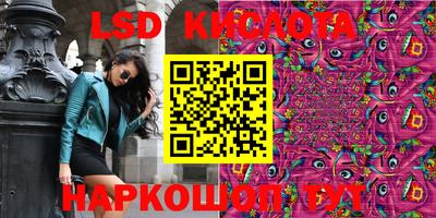 кокс Кингисепп