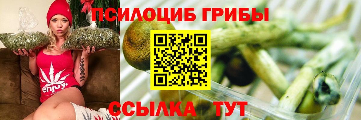 Псилоцибиновые грибы прущие грибы  Псилоцибиновые грибы прущие грибы  Королёв  наркотики  Вход с VPN 